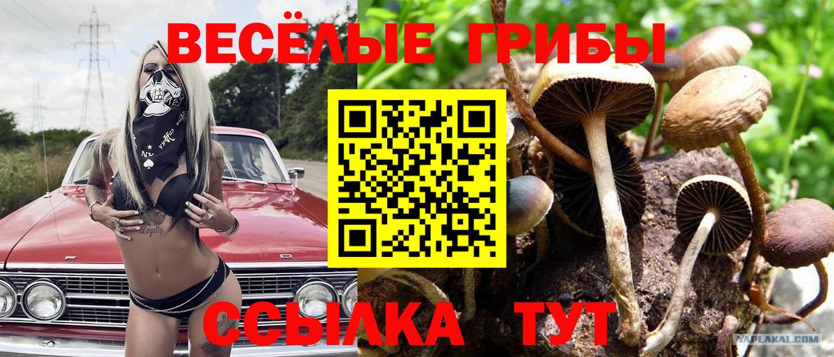 Галлюциногенные грибы ЛСД Бахчисарай